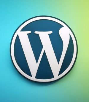 Otimização WordPress Personalizado