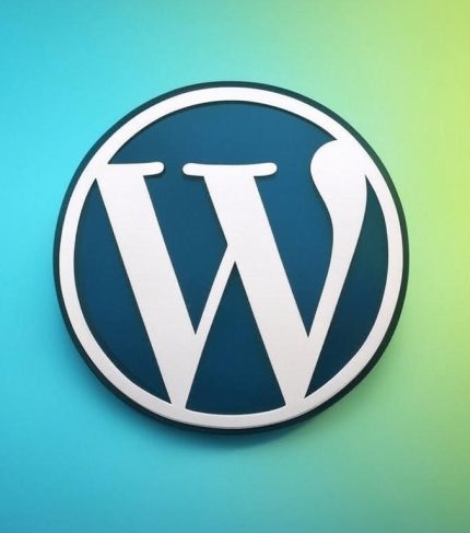 Otimização WordPress Personalizado